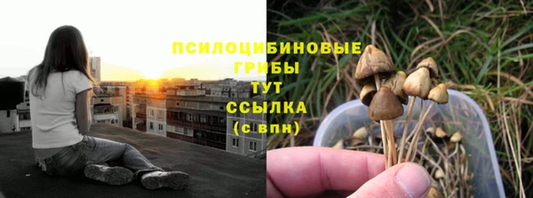 твердый Инта