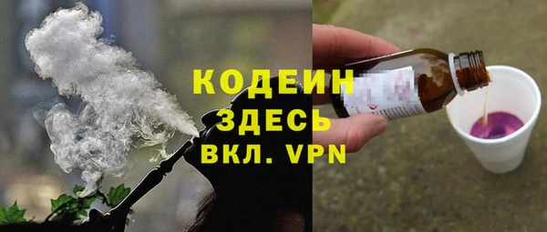 твердый Инта