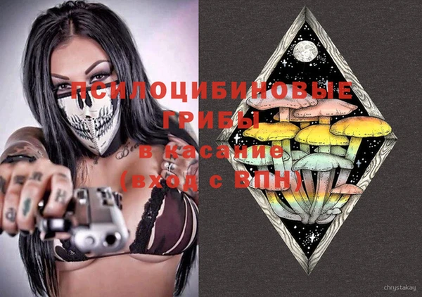 ALPHA-PVP Инсар