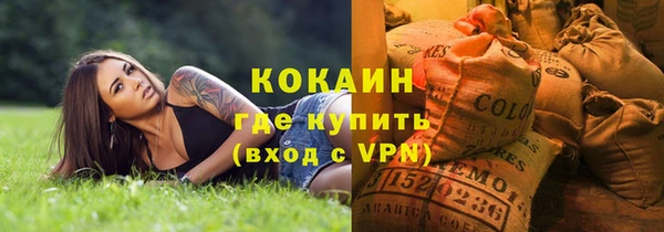 твердый Инта